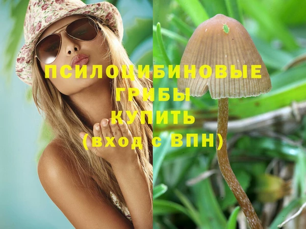 не бодяженный Абдулино