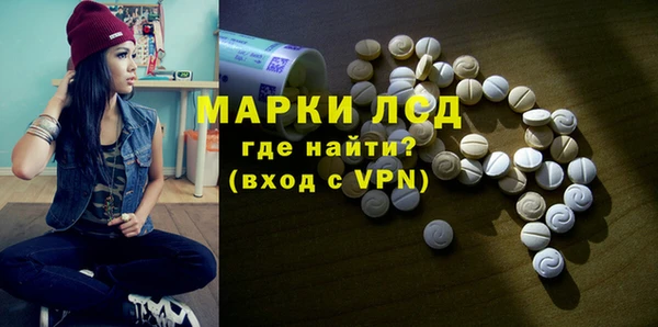 стаф Абинск