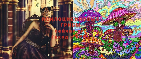 стаф Абинск