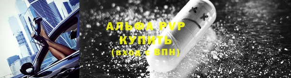 стаф Абинск