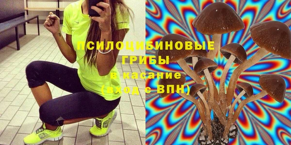 стаф Абинск