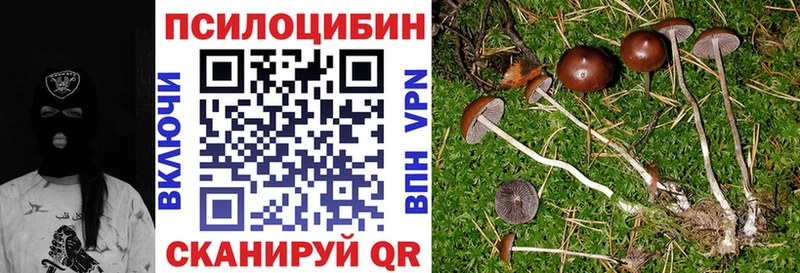 Галлюциногенные грибы мухоморы  Дербент 